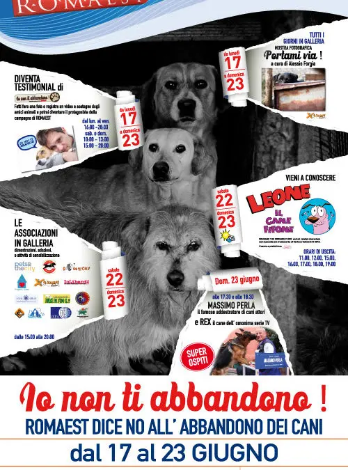 Romaest dice no all’abbandono dei cani con una settimana dedicata al miglior amico dell’uomo