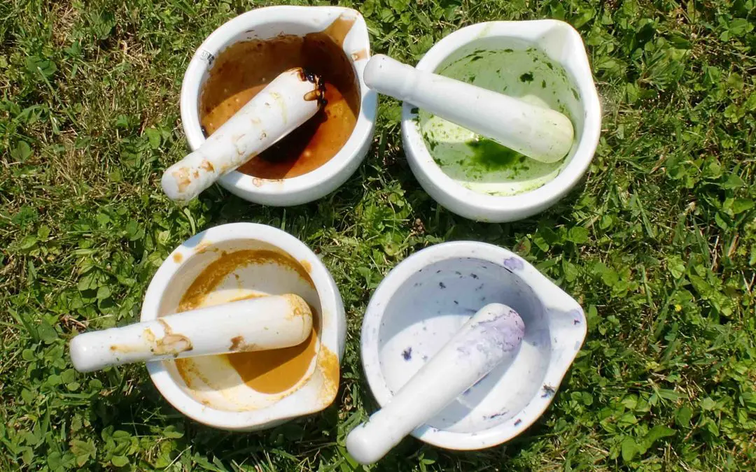 La Rete degli Orti botanici celebra il solstizio d’estate