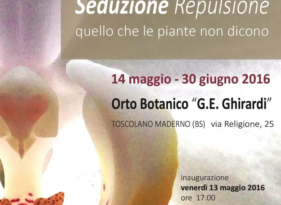 I fiori, le piante e il mondo animale. In mostra nell’Orto botanico di Toscolano Maderno i sottili giochi di prestigio della natura