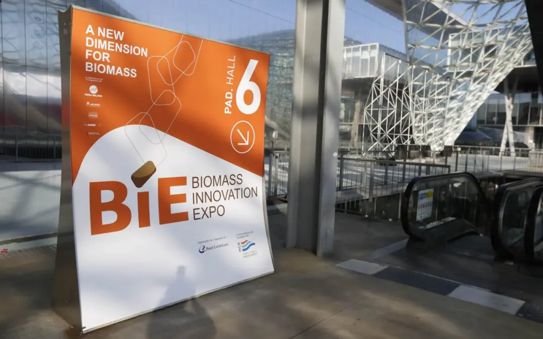 Le biomasse fondamentali per il raggiungimento degli obiettivi 2020 UE