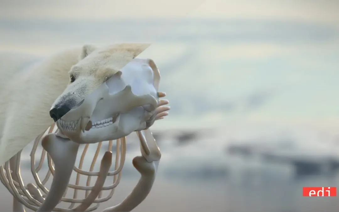 Alla vigilia di Earth Hour WWF lancia un video firmato da Gabriele Muccino sull’orso polare