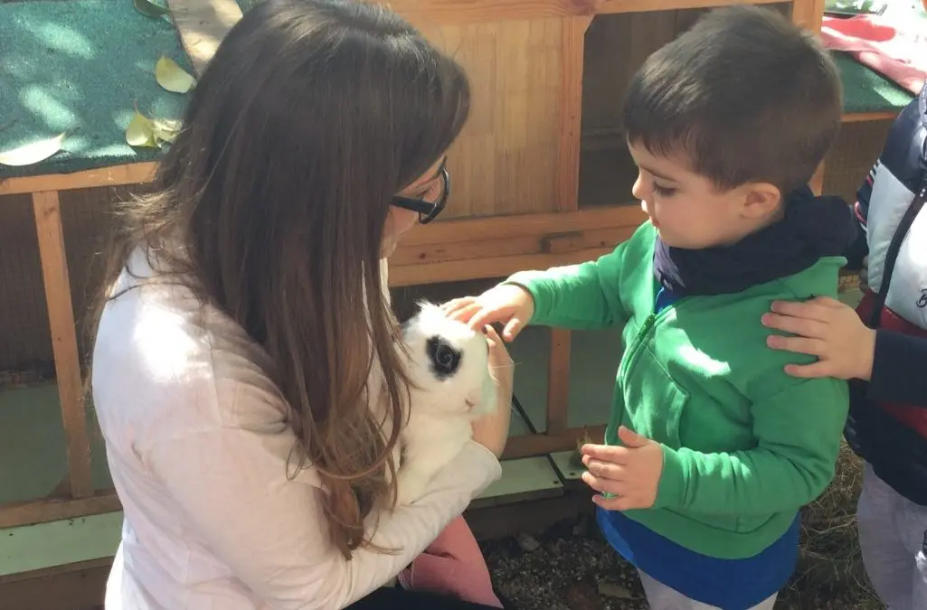 Coniglietti in asilo nido per crescere con i benefici della pet education