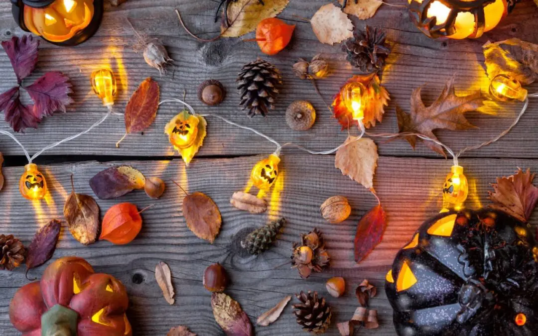 Su yellowa.it speciale Halloween: una collezione di oggetti di design e decorazioni…da urlo