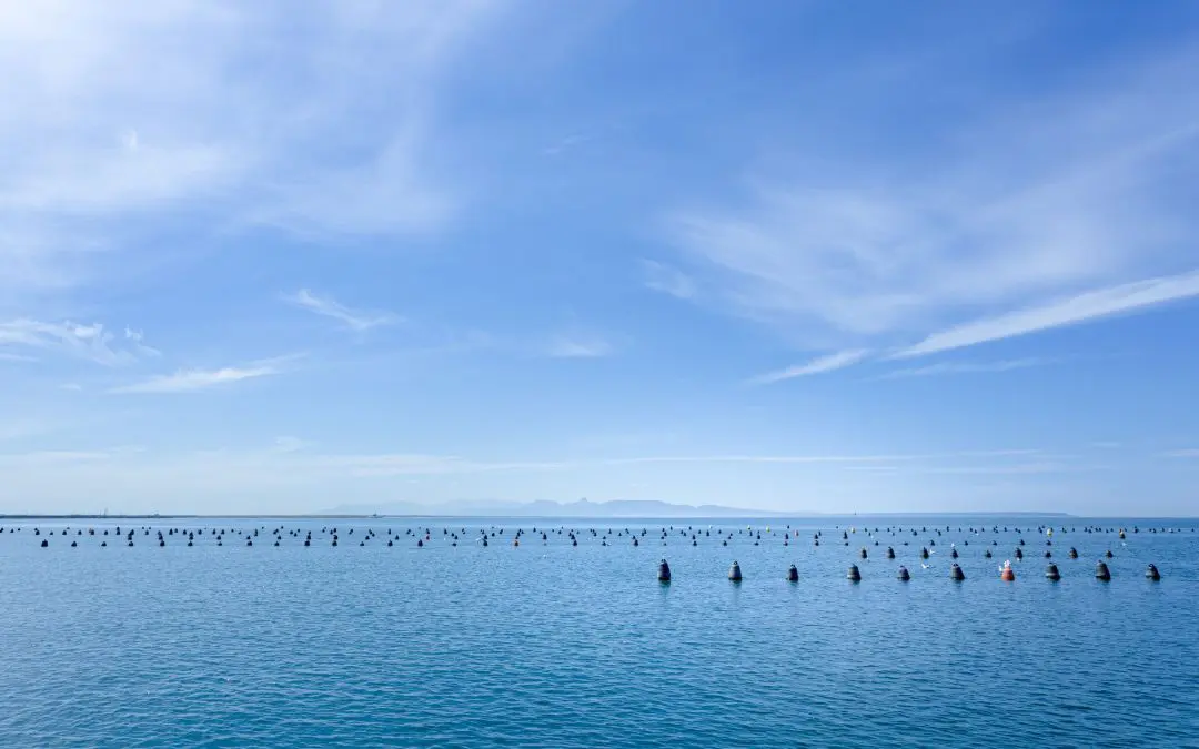 Nieddittas: il sapore del mare d’inverno nelle degustazioni e nelle visite guidate all’area naturalistica di Corru Mannu ad Arborea