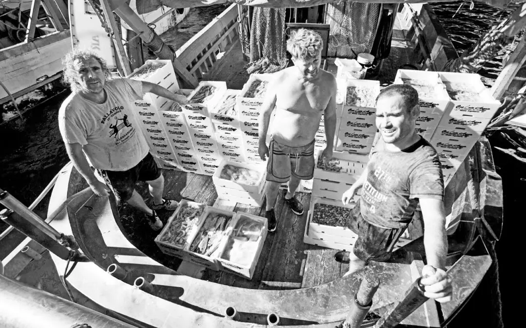 I pescatori dell’Argentario non si fermano grazie all’iniziativa di Vivo