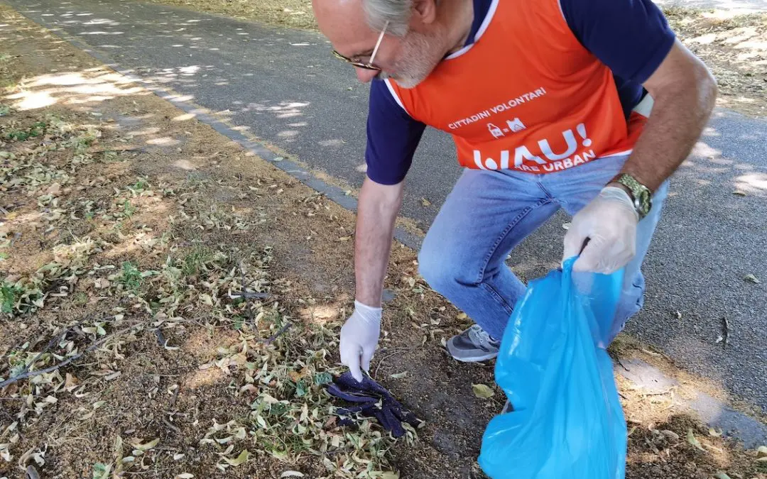 Comunità energetiche e plogging a Chiaravalle