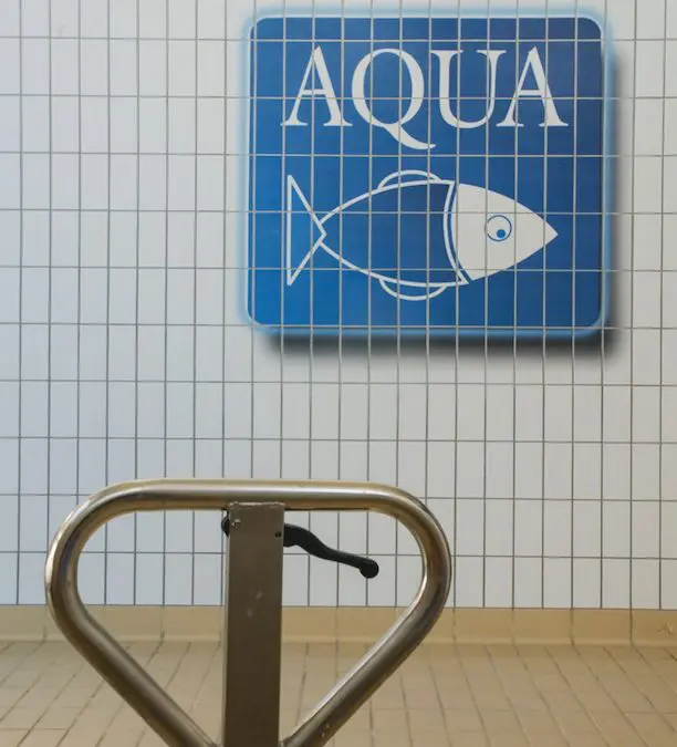 L’acquacoltura come opportunità nel turismo esperienziale. Giornata di formazione per gli studenti dell’Accademia del turismo di Lavagna nell’impianto di Aqua.