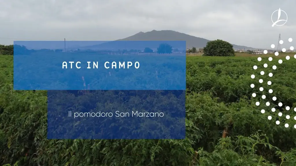 Timac Agro