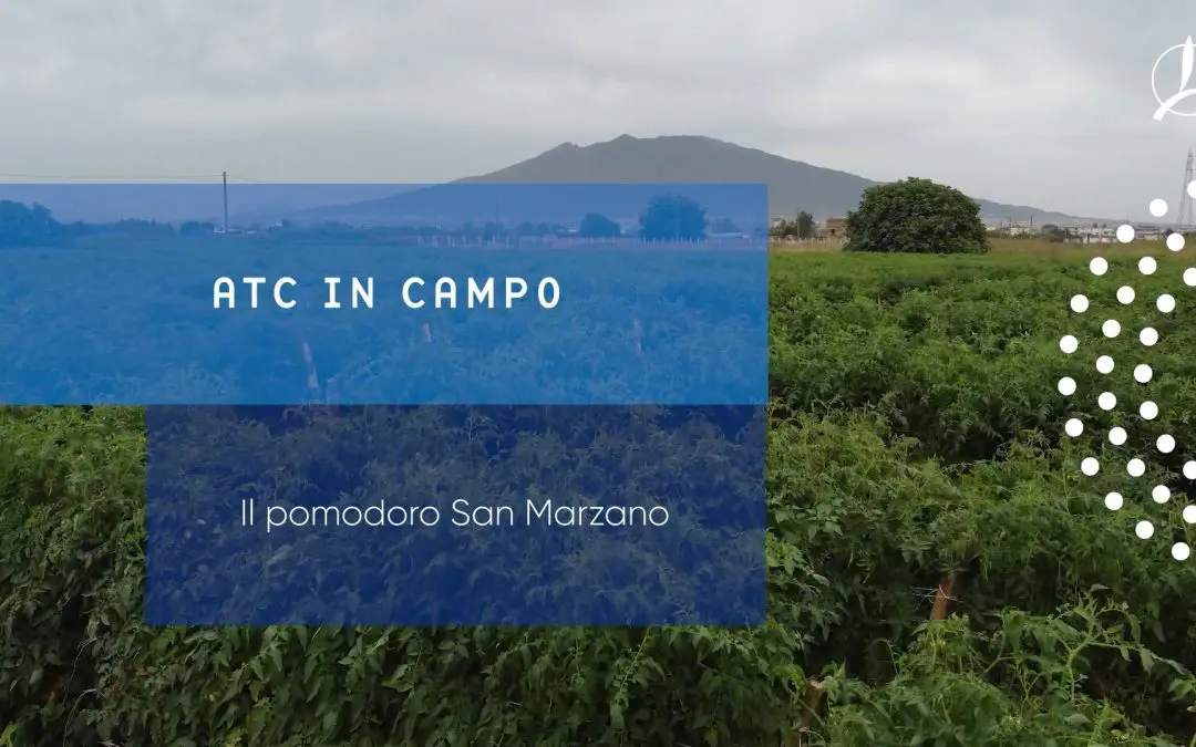 IAKI Group e TIMAC AGRO Italia danno voce agli agricoltori di successo italiani in una video serie originale