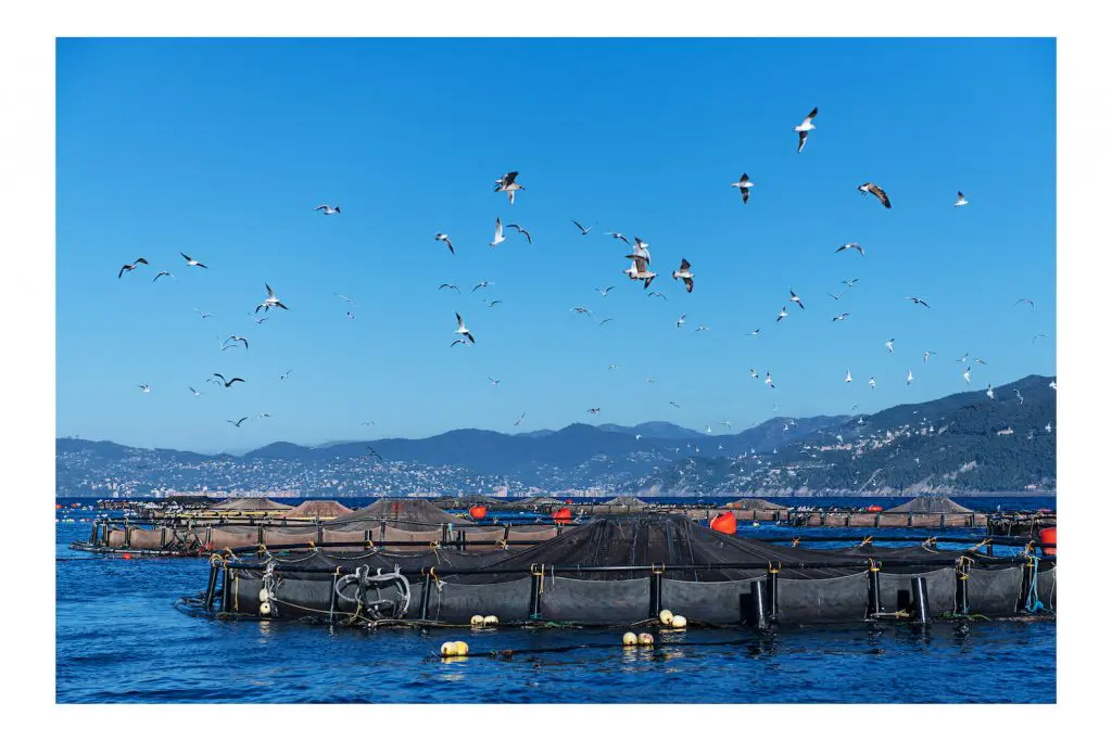 0275P1-Liguria02