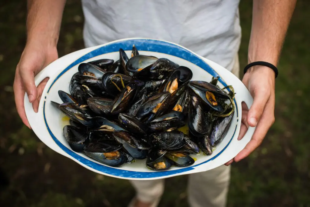 cozze Nieddittas