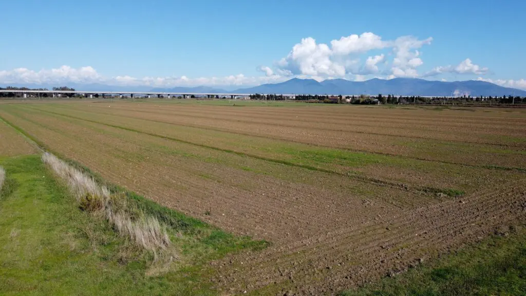 area a Collesalvetti