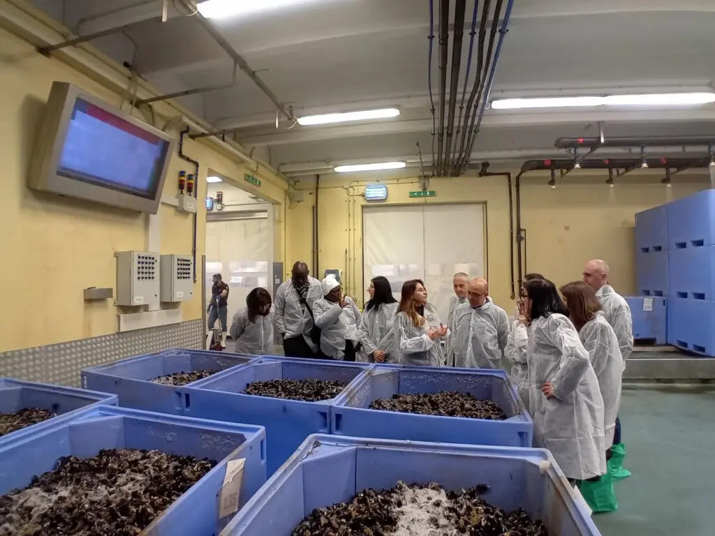 Delegazione Petites Noires in Nieddittas