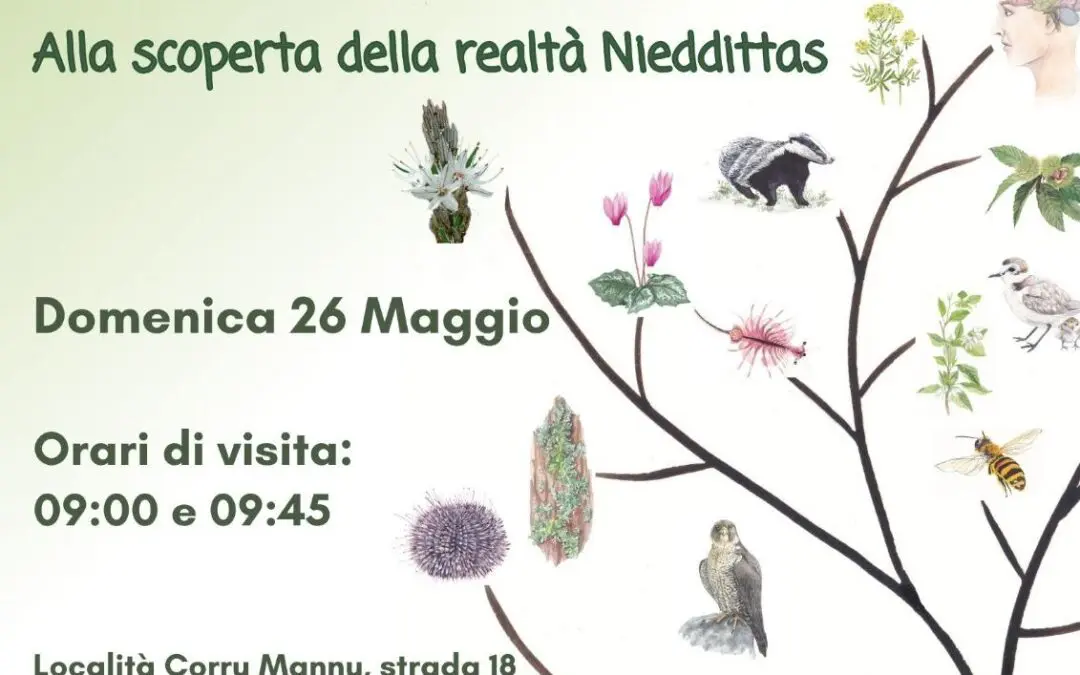 Le Camminate della Biodiversità FAI anche ad Arborea con Nieddittas