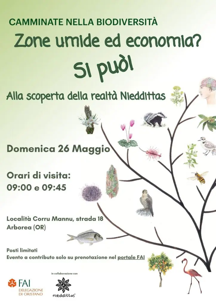 locandina camminata FAI-Nieddittas