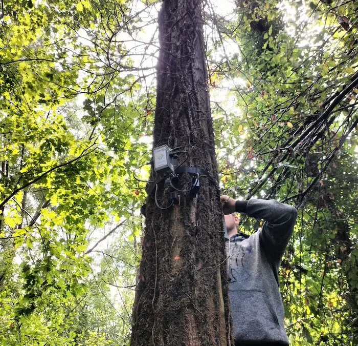 Presentato oggi alla Catasta del Pollino #RigeneraBoschi, il progetto di Sorgenia che si prende cura delle foreste