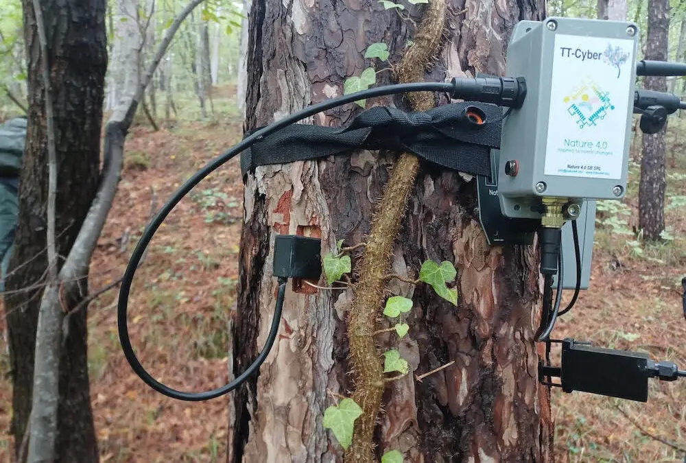 #RigeneraBoschi torna in Emilia Romagna: cura delle foreste e attività ambientali con oltre 80 studenti