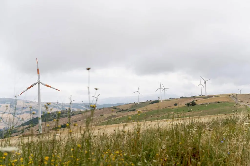 1 - Impianto eolico Edison di Foiano di Val Fortore (BN)
