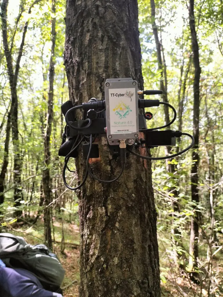 ft.02 - Tree Talker