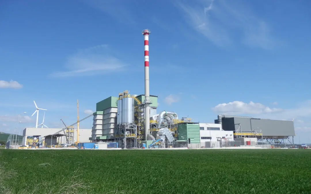 Dl Bollette, EBS: le biomasse solide sono infrastruttura strategica per il Paese, non un costo da tagliare