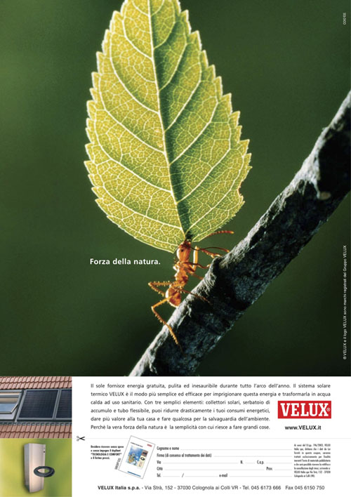 Velux forza della natura