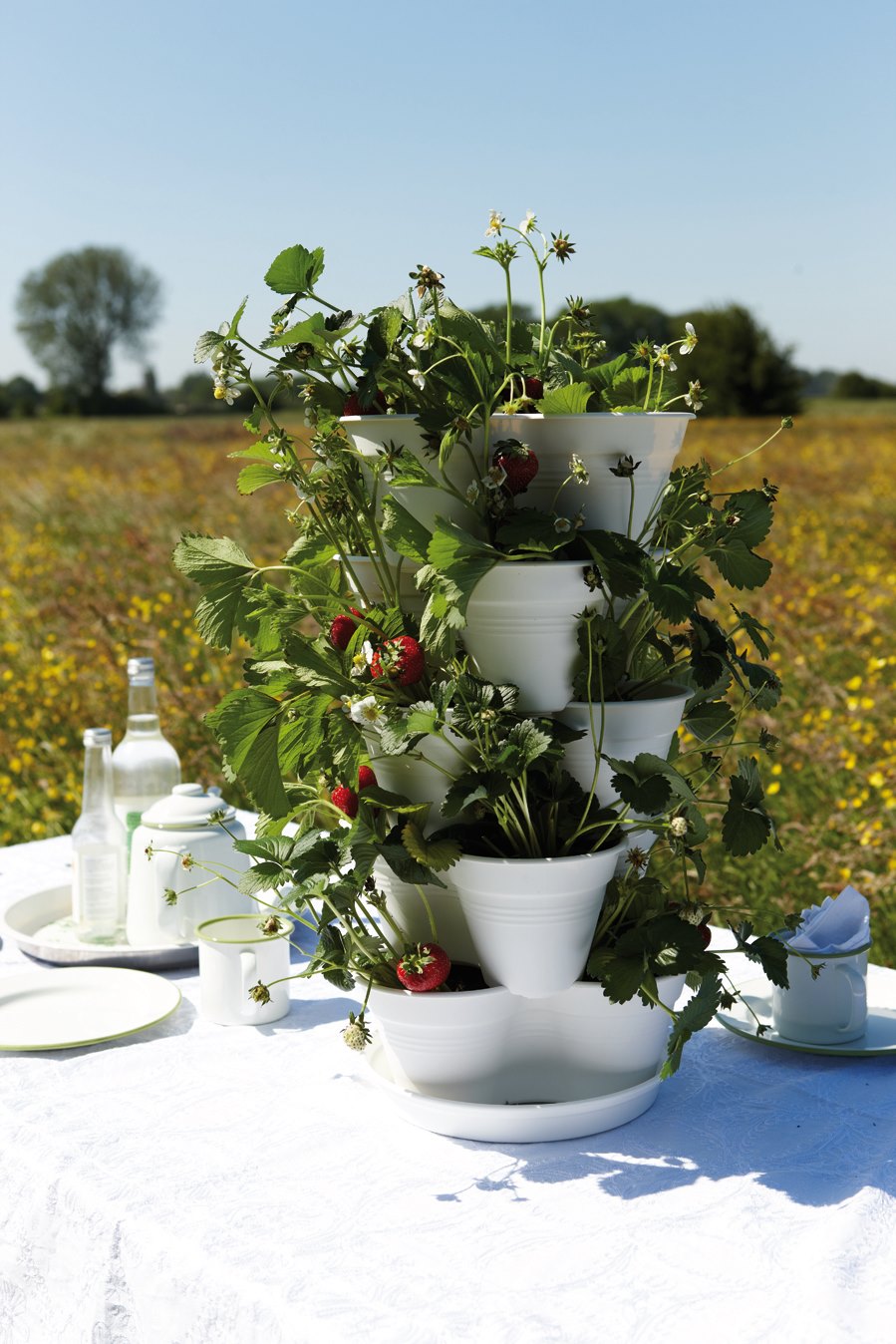 La rivoluzione green per coltivare un orto in casa