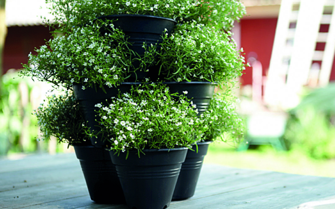 Smart Garden tra i protagonisti di Flora et Decora