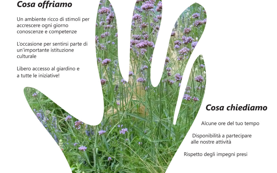 L’Orto botanico Lorenzo Rota cerca persone con una passione da coltivare