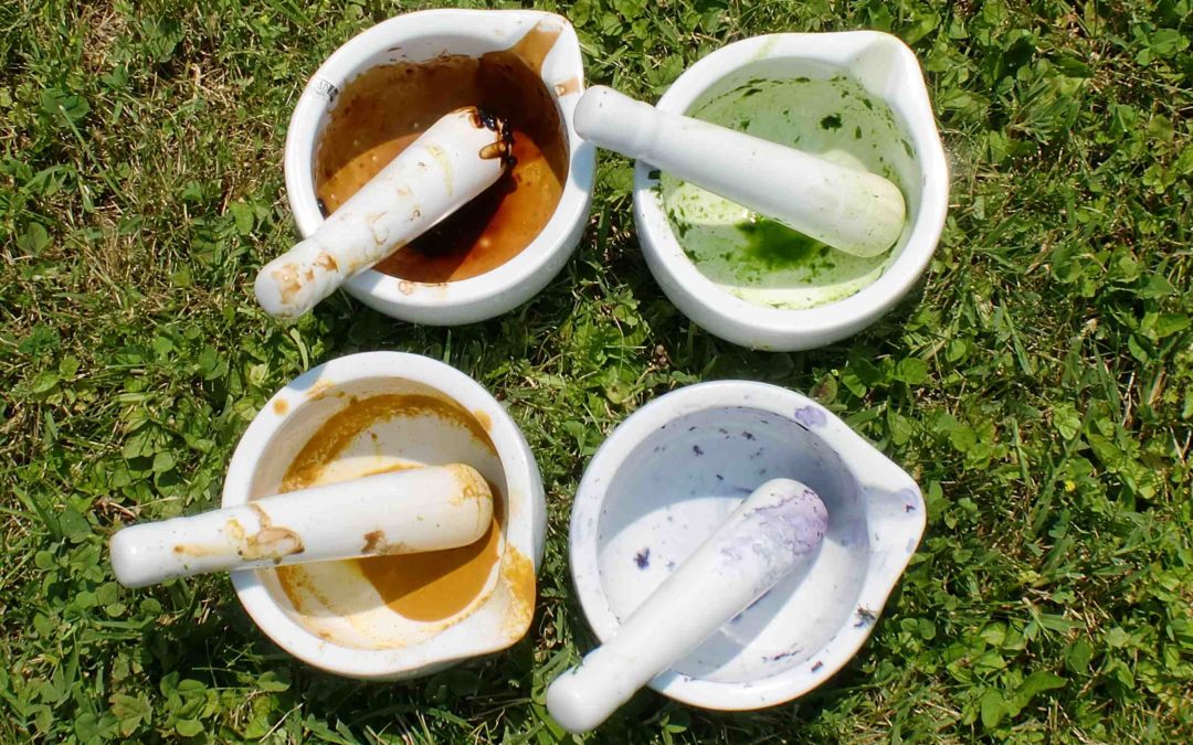La Rete degli Orti botanici celebra il solstizio d’estate