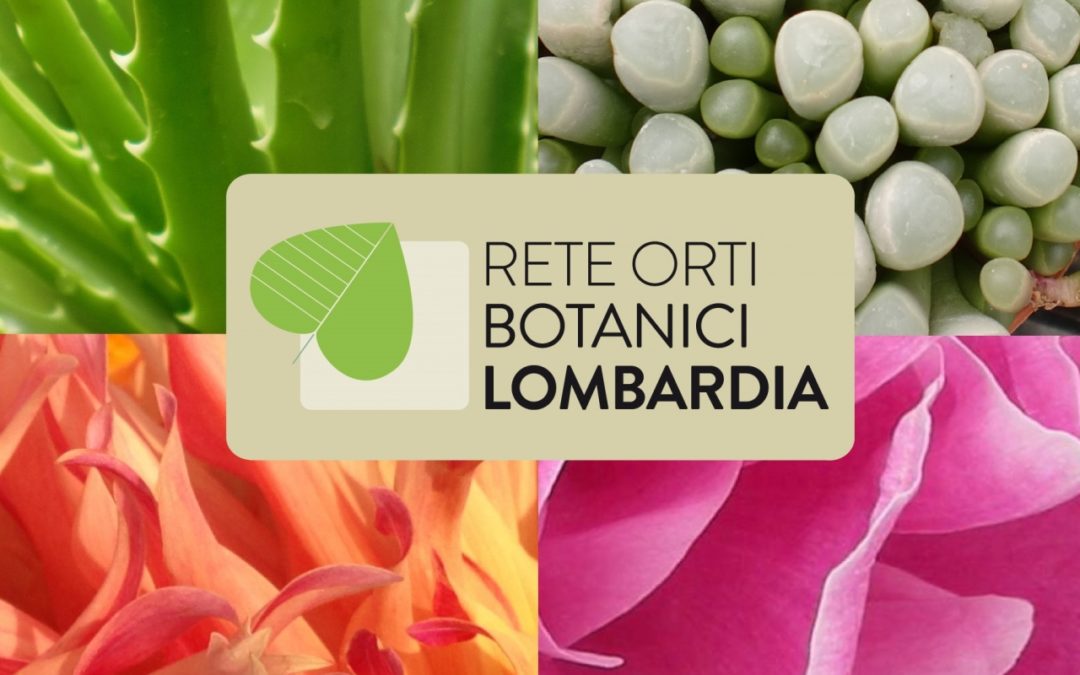 Alla scoperta dei segreti delle piante con la Rete degli Orti botanici lombardi a Fa’ la cosa giusta