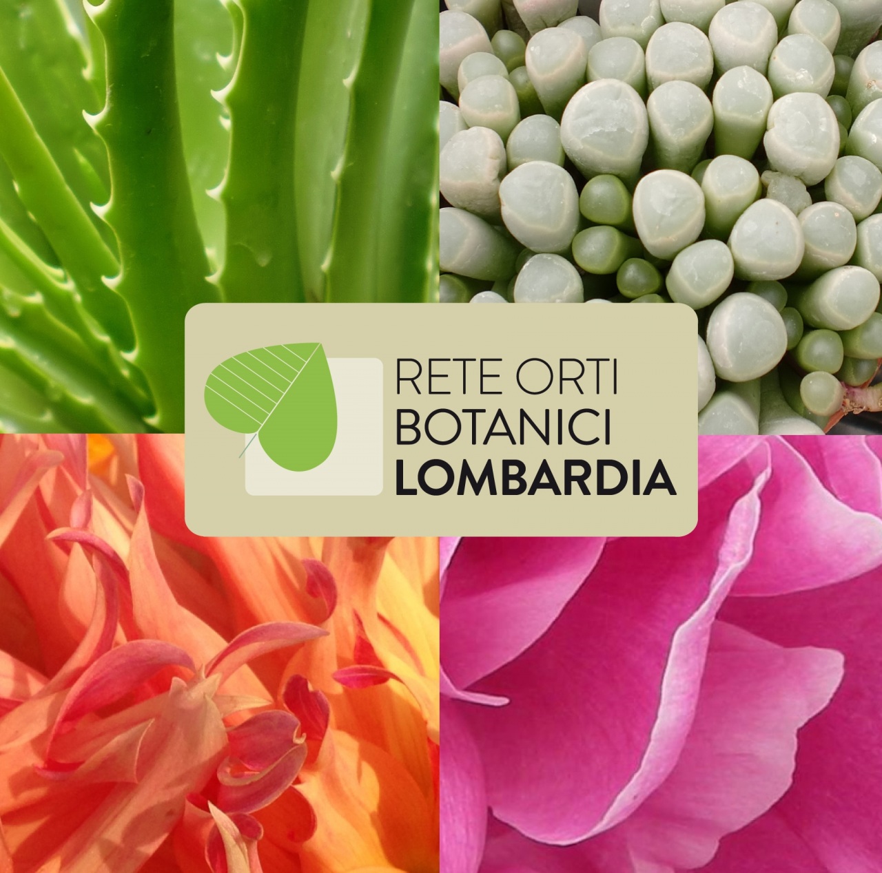 Alla scoperta dei segreti delle piante con la Rete degli Orti botanici lombardi a Fa’ la cosa giusta