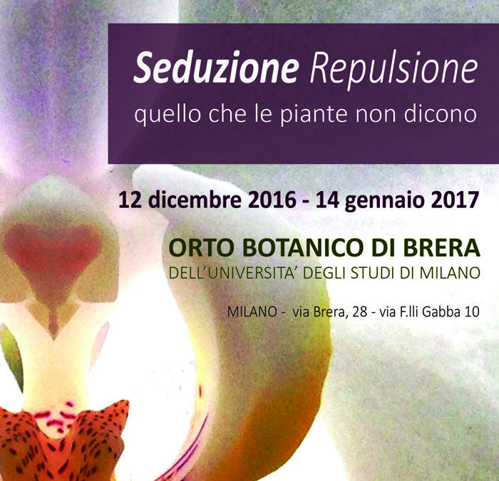 I fiori, le piante e il mondo animale. In mostra nell’Orto Botanico di Brera a Milano, i sottili giochi di prestigio della natura