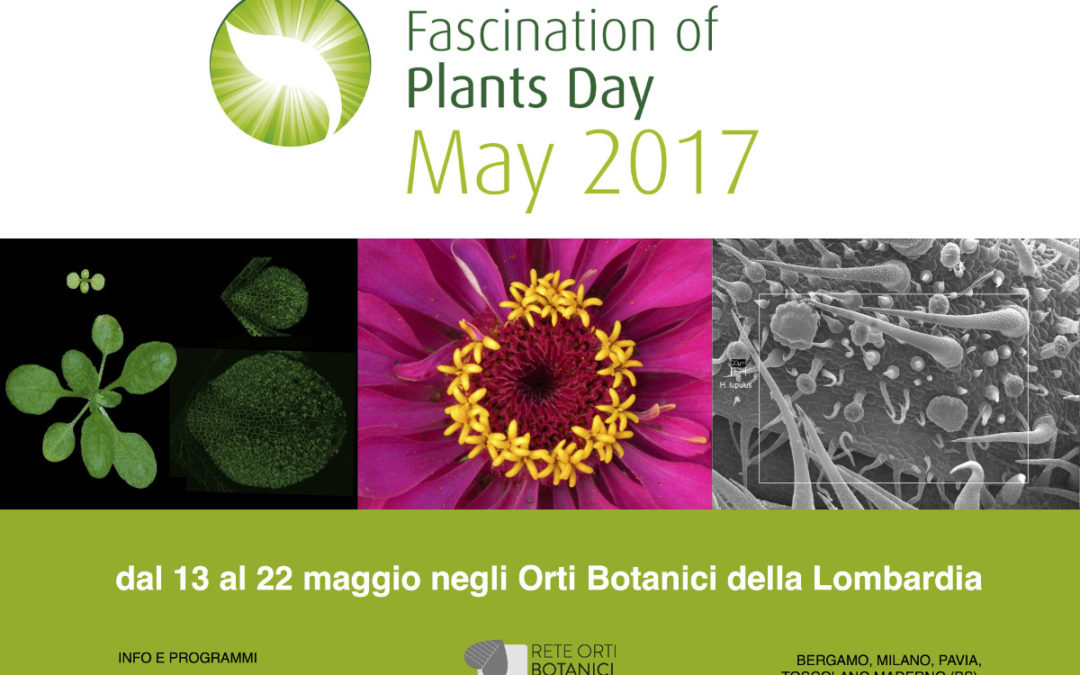 La Rete degli Orti botanici della Lombardia celebra il Fascination of Plant Day: fino al 22 maggio eventi speciali in tutta la regione