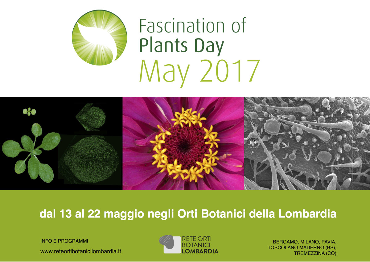 La Rete degli Orti botanici della Lombardia celebra il Fascination of Plant Day: fino al 22 maggio eventi speciali in tutta la regione