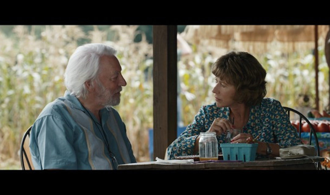 EDI Effetti Digitali Italiani al Festival di Venezia con The Leisure Seeker di Paolo Virzì