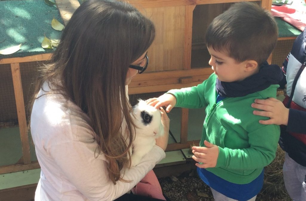Coniglietti in asilo nido per crescere con i benefici della pet education