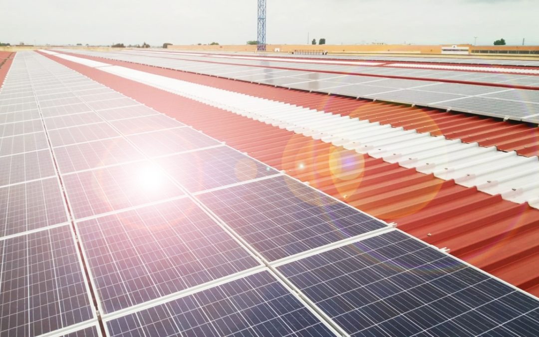 Da Evolvere i nuovi grandi impianti fotovoltaici per Ori Martin