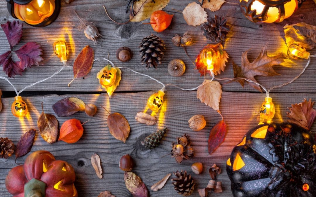 Su yellowa.it speciale Halloween: una collezione di oggetti di design e decorazioni…da urlo