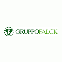 Gruppo Falck