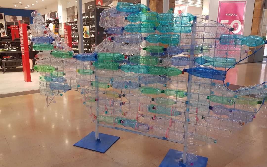 Si è conclusa con oltre 200 mila visitatori la mostra didattica “Aquarium” al centro commerciale Gran Sasso di Teramo