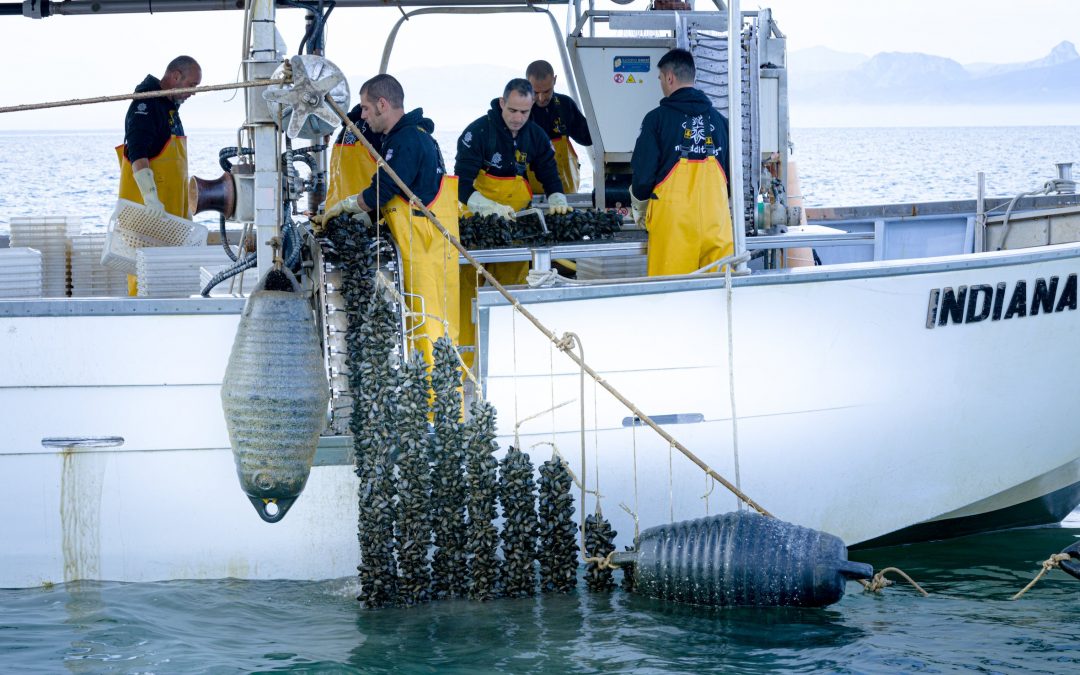 Nieddittas: il sapore del mare d’inverno nelle degustazioni e nelle visite guidate all’area naturalistica di Corru Mannu ad Arborea