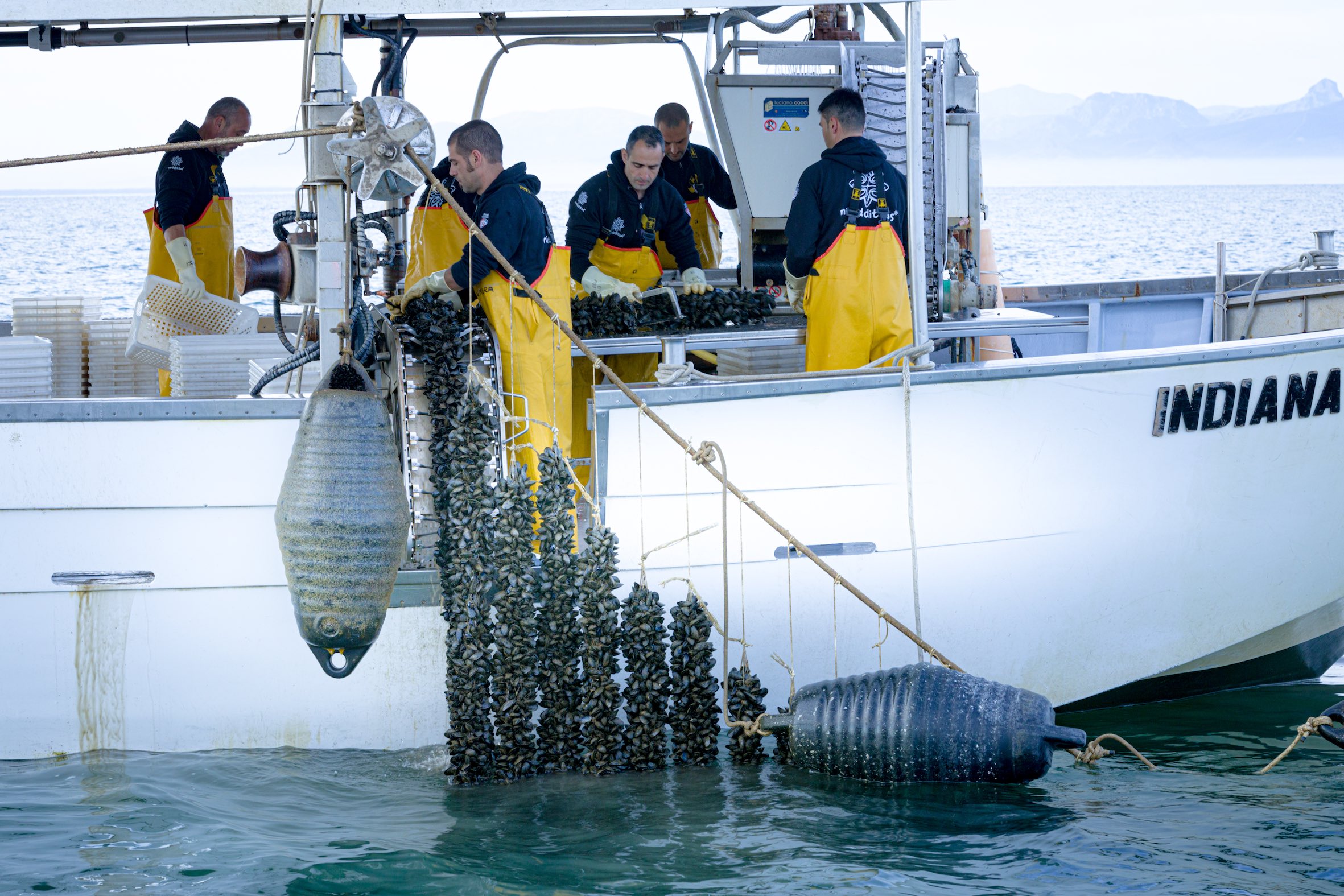 Nieddittas: il sapore del mare d’inverno nelle degustazioni e nelle visite guidate all’area naturalistica di Corru Mannu ad Arborea