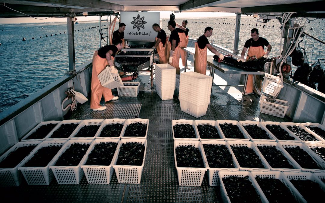 Nieddittas sta con i ristoratori e regala la prima fornitura di cozze