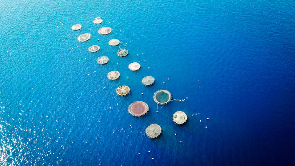 L’Europa punta sull’economia blu e l’acquacoltura sostenibile
