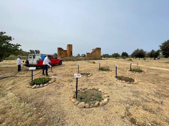 Fondazione Territorio Italia e Green Heroes insieme per la green conservation della Valle dei Templi