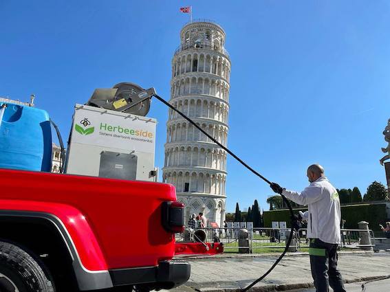 Intervento di Green Conservation alla Torre di Pisa