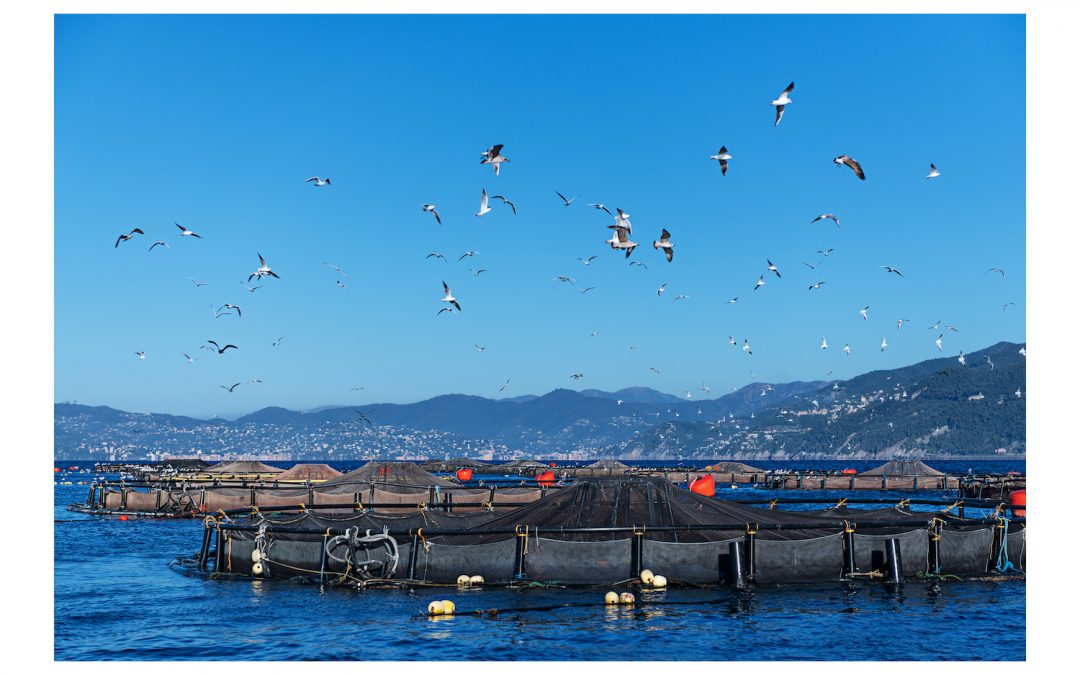 Aqua De Mâ presente alla mostra fotografica Ambiente Clima Futuro