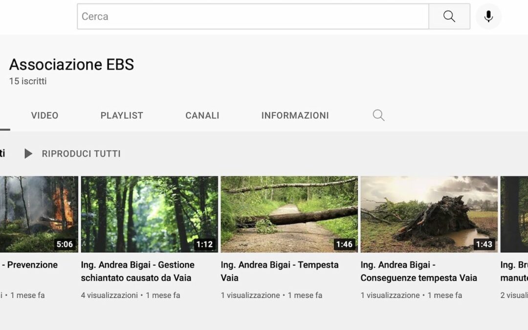 L’energia delle biomasse solide arriva su YouTube con EBS