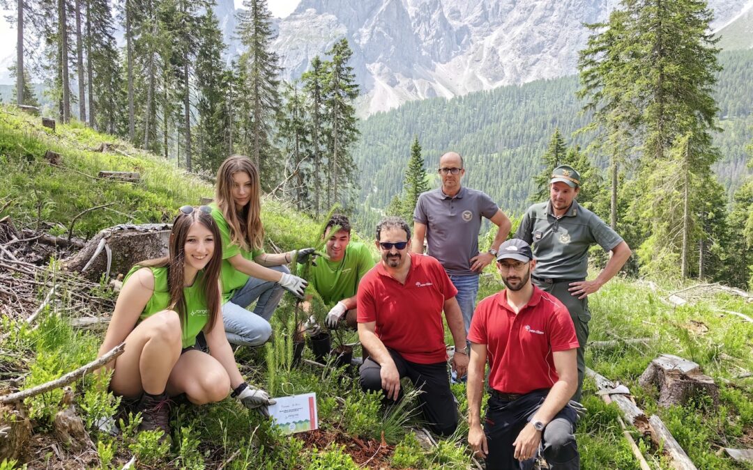 RIFORESTAZIONE NELLA VAL PUSTERIA COLPITA DALLA TEMPESTA VAIA. OGGI INIZIATIVA DI SORGENIA E RETE CLIMA