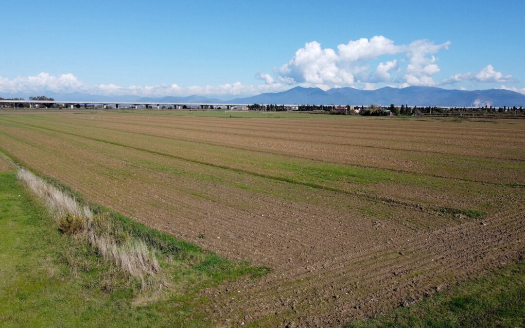 Secondo parco fotovoltaico di Sorgenia in Toscana: energia verde per oltre 6 mila famiglie